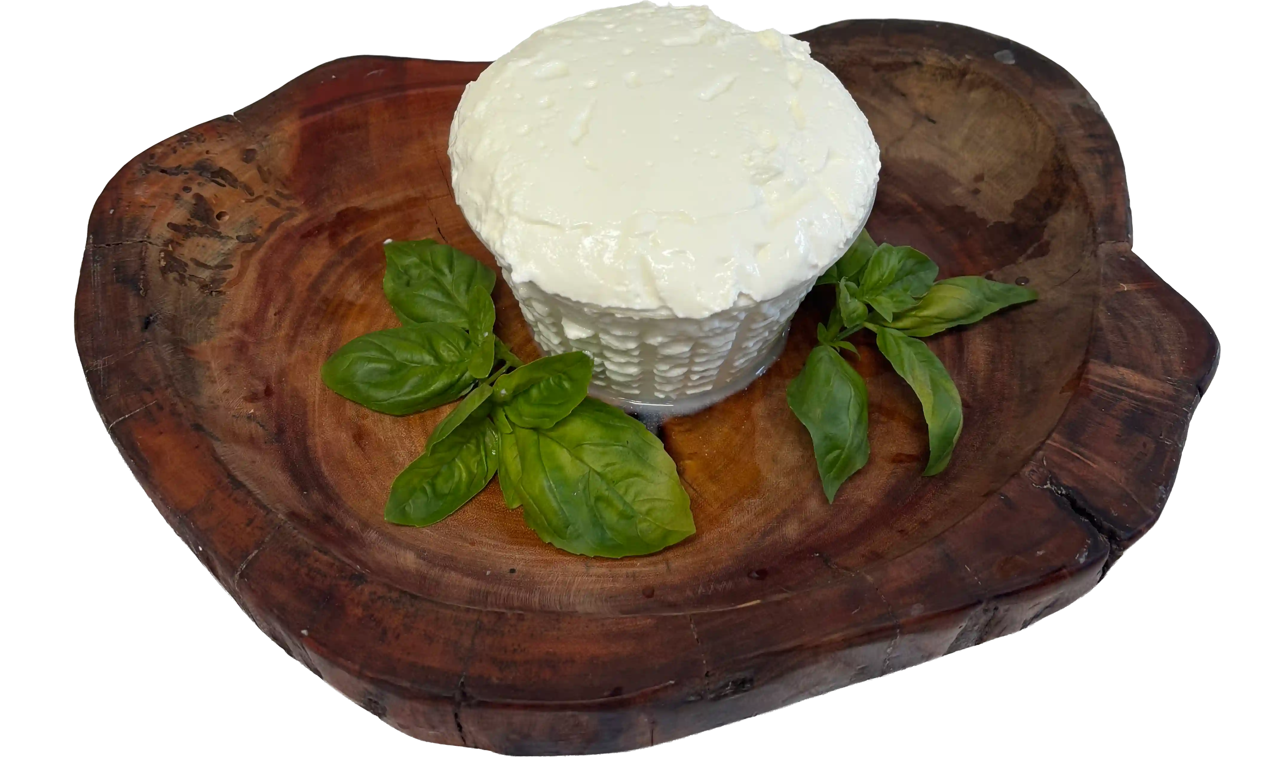 RICOTTA